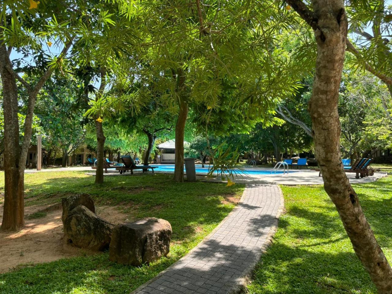 Hotel Elephant Reach Yala Esterno foto