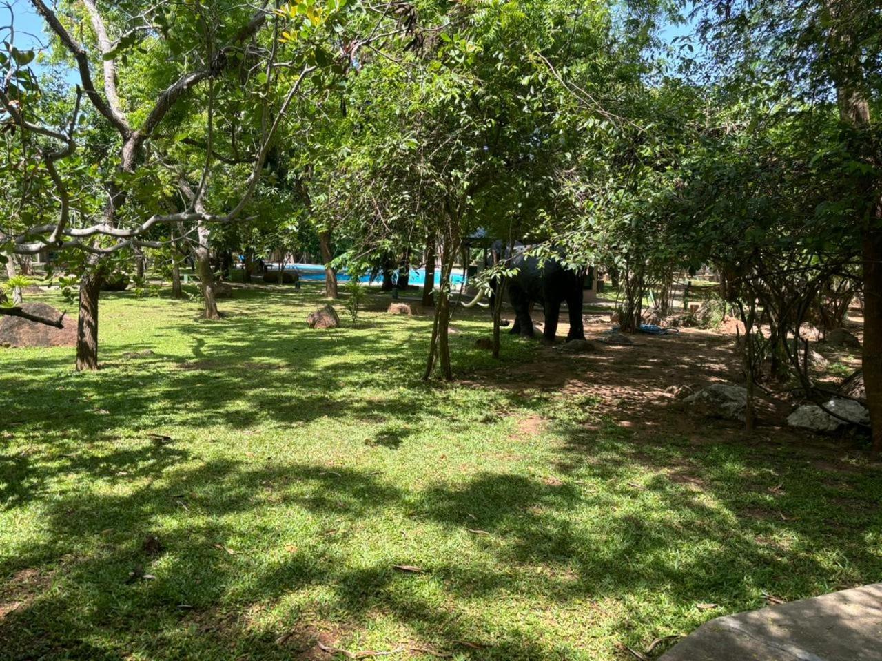 Hotel Elephant Reach Yala Esterno foto
