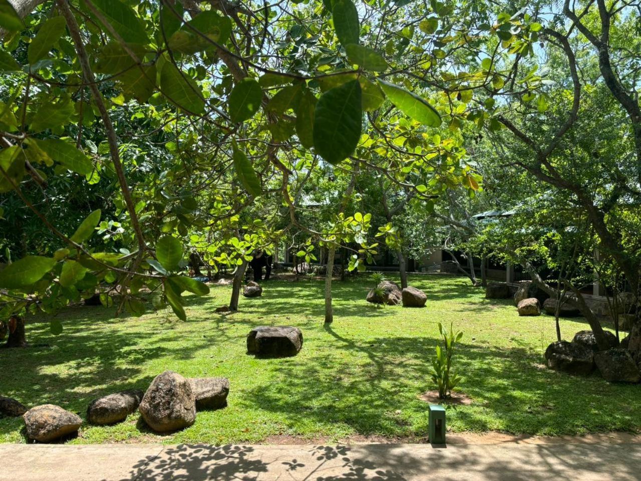 Hotel Elephant Reach Yala Esterno foto