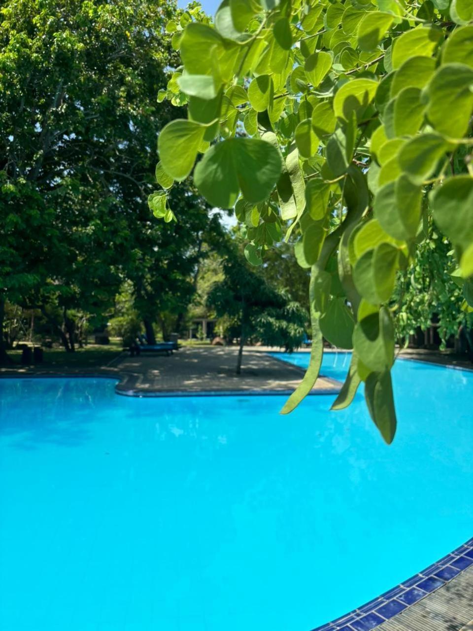 Hotel Elephant Reach Yala Esterno foto