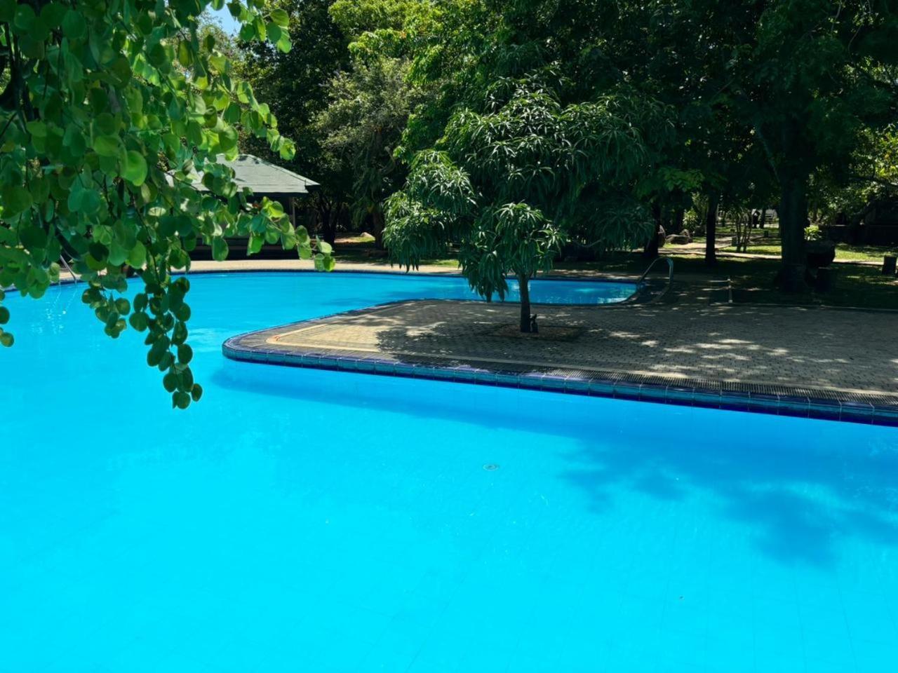 Hotel Elephant Reach Yala Esterno foto