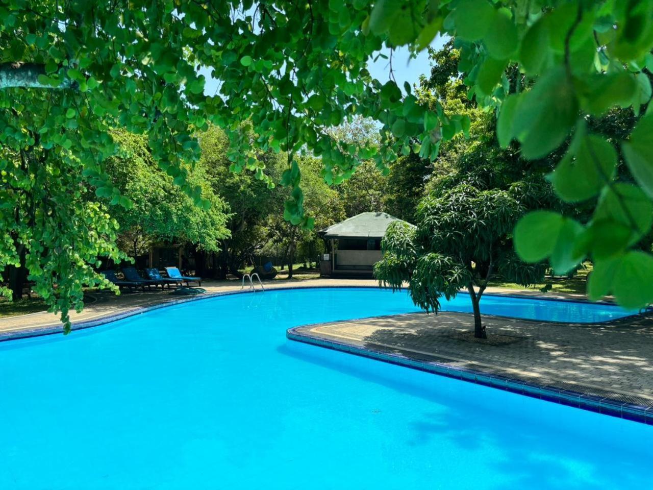 Hotel Elephant Reach Yala Esterno foto